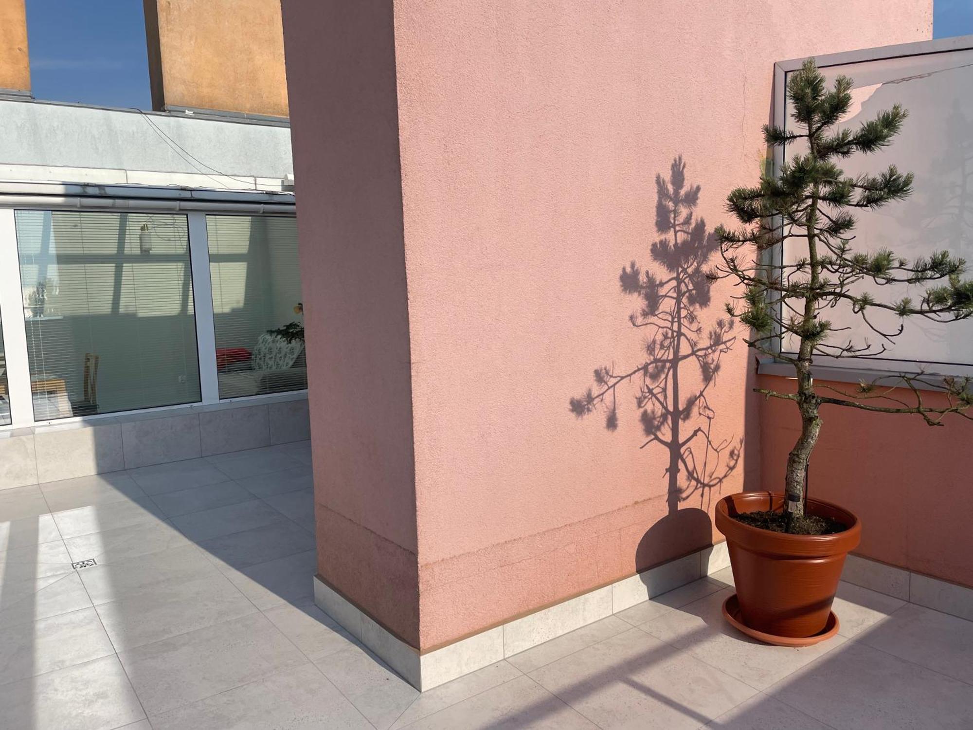 Wolin-Travel Fala Apartamenty Z Widokiem Na Morze Miedzyzdroje Luaran gambar